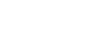 Logo Bardiani partner di CSF